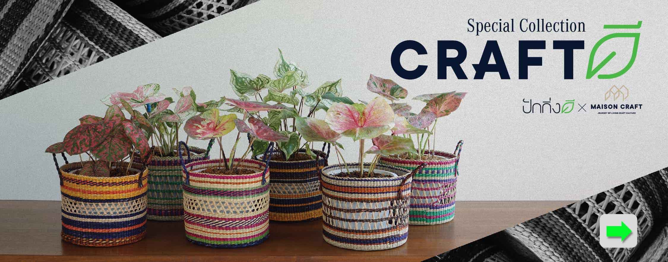 Packkingdee x Maison Craft