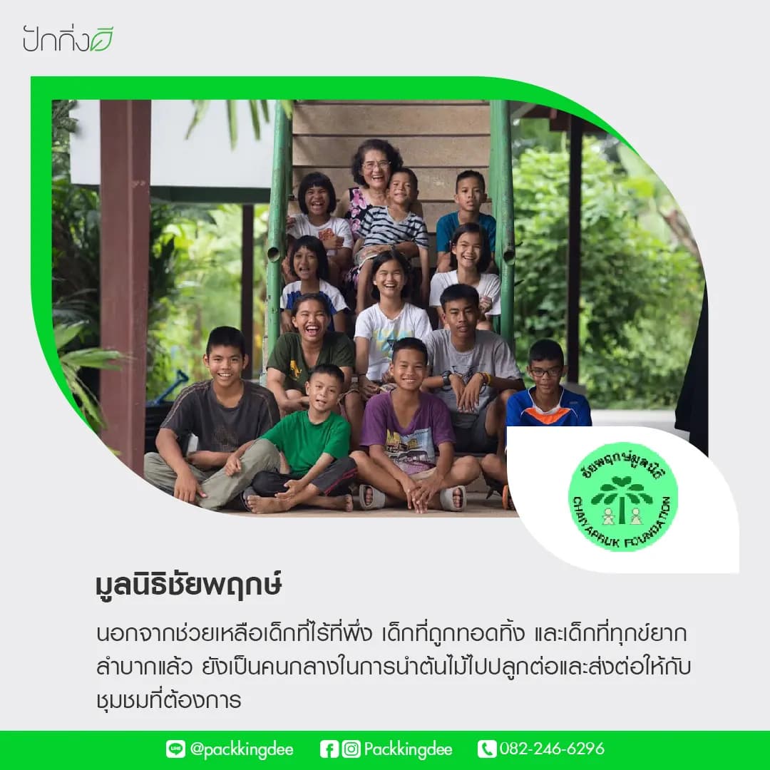 พวงหรีดต้นไม้เพื่อการบริจาค ForRest ForLife : รุ่นถนนธงชัย กระดานสีดำ