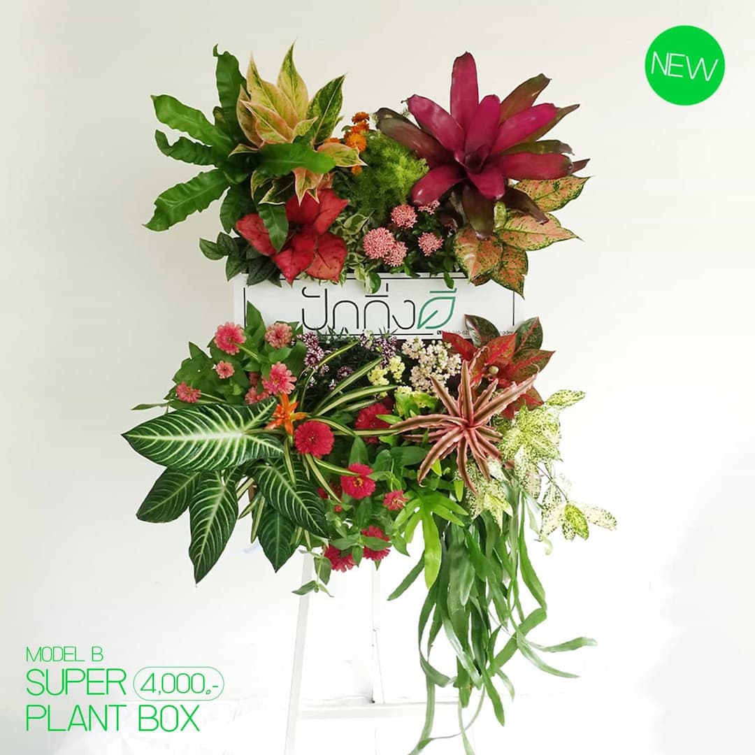 พวงหรีดต้นไม้ : Recycle.in.Peace Paper Box สีสัน