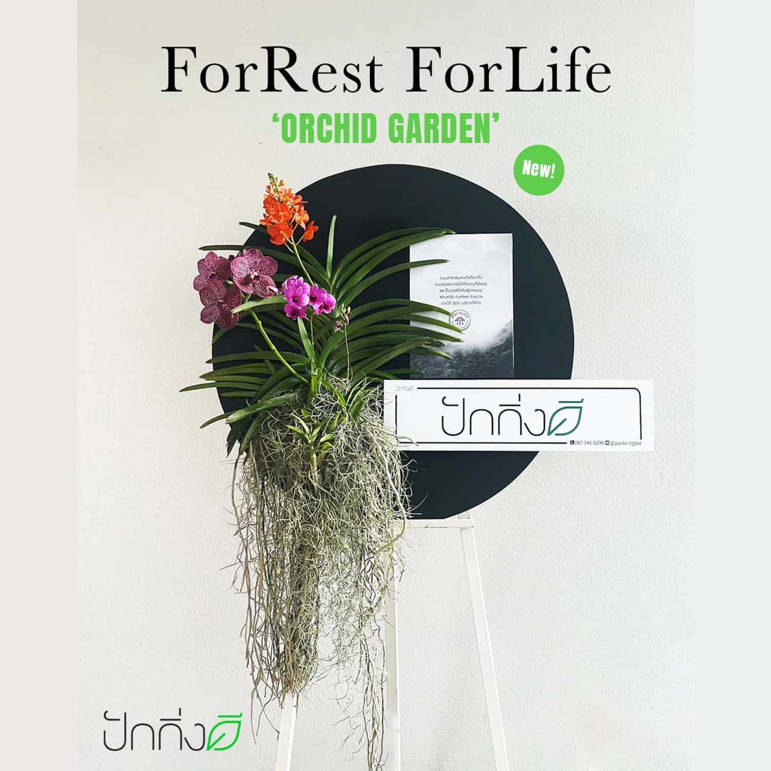 พวงหรีดต้นไม้เพื่อการบริจาค ForRest ForLife : รุ่น Orchid Garden กระดานสีดำ