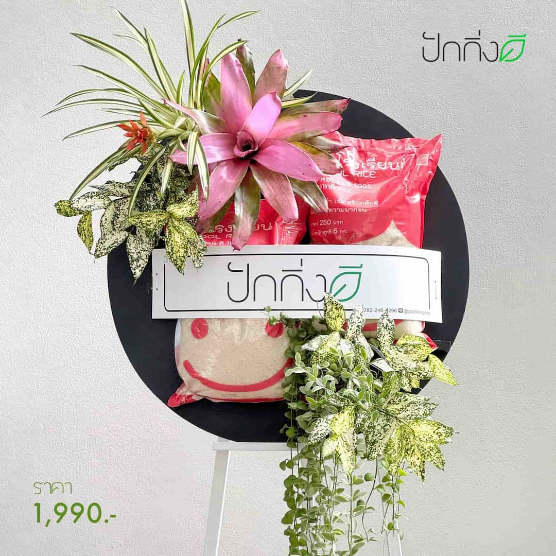 พวงหรีดต้นไม้ข้าวสาร 2 ถุง แบบใหม่