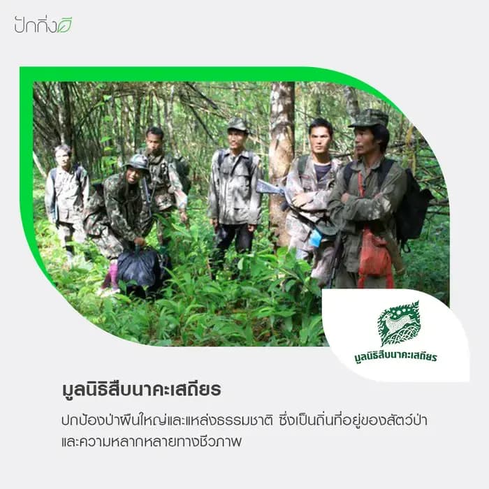 พวงหรีดต้นไม้เพื่อการบริจาค ForRest ForLife : รุ่น Orchid Garden กระดานสีดำ