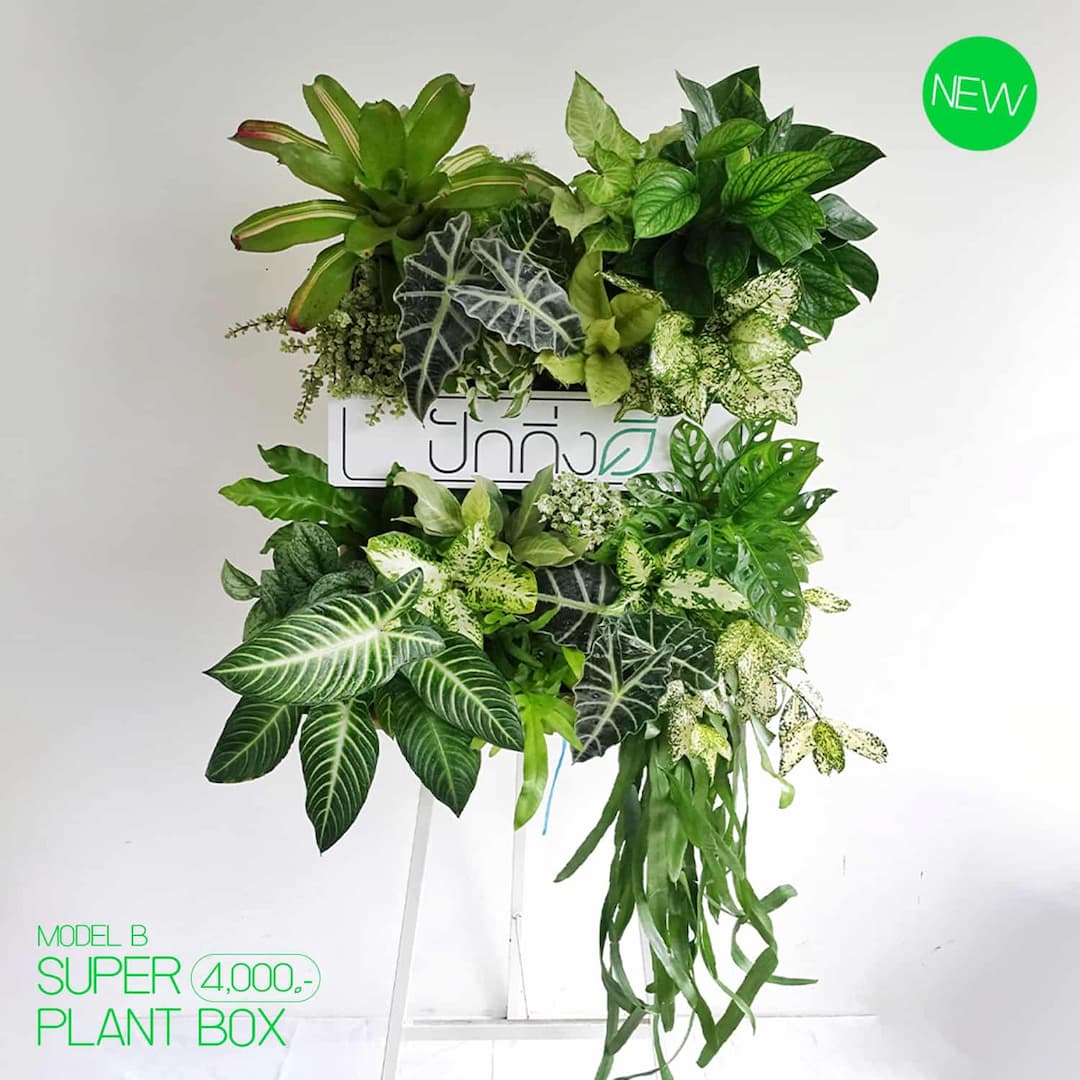 พวงหรีดต้นไม้ : Recycle.in.Peace Paper Box ขาวเขียว