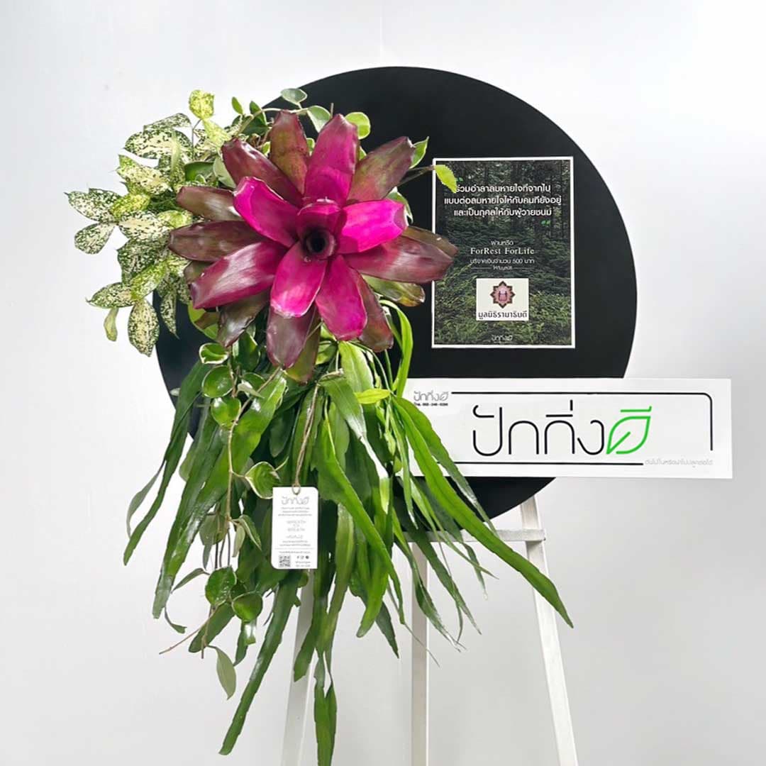 พวงหรีดต้นไม้เพื่อการบริจาค ForRest ForLife : รุ่นถนนธงชัย กระดานสีดำ