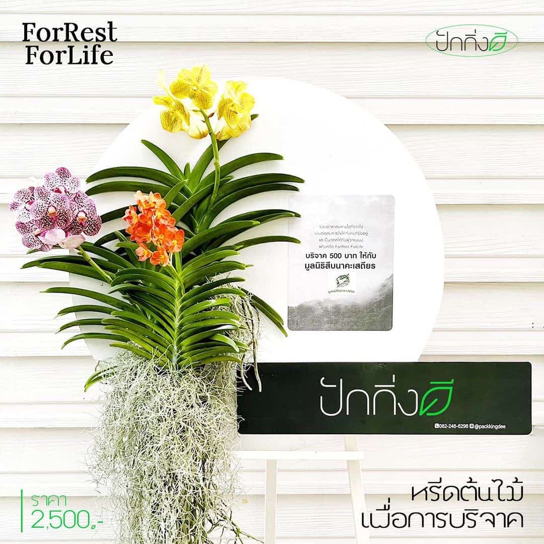 พวงหรีดต้นไม้เพื่อการบริจาค ForRest ForLife : รุ่น Orchid Garden กระดานสีขาว