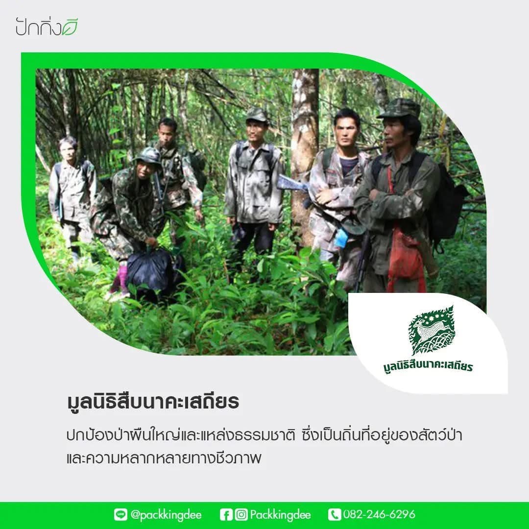 พวงหรีดต้นไม้เพื่อการบริจาค ForRest ForLife : รุ่นถนนธงชัย กระดานสีขาว