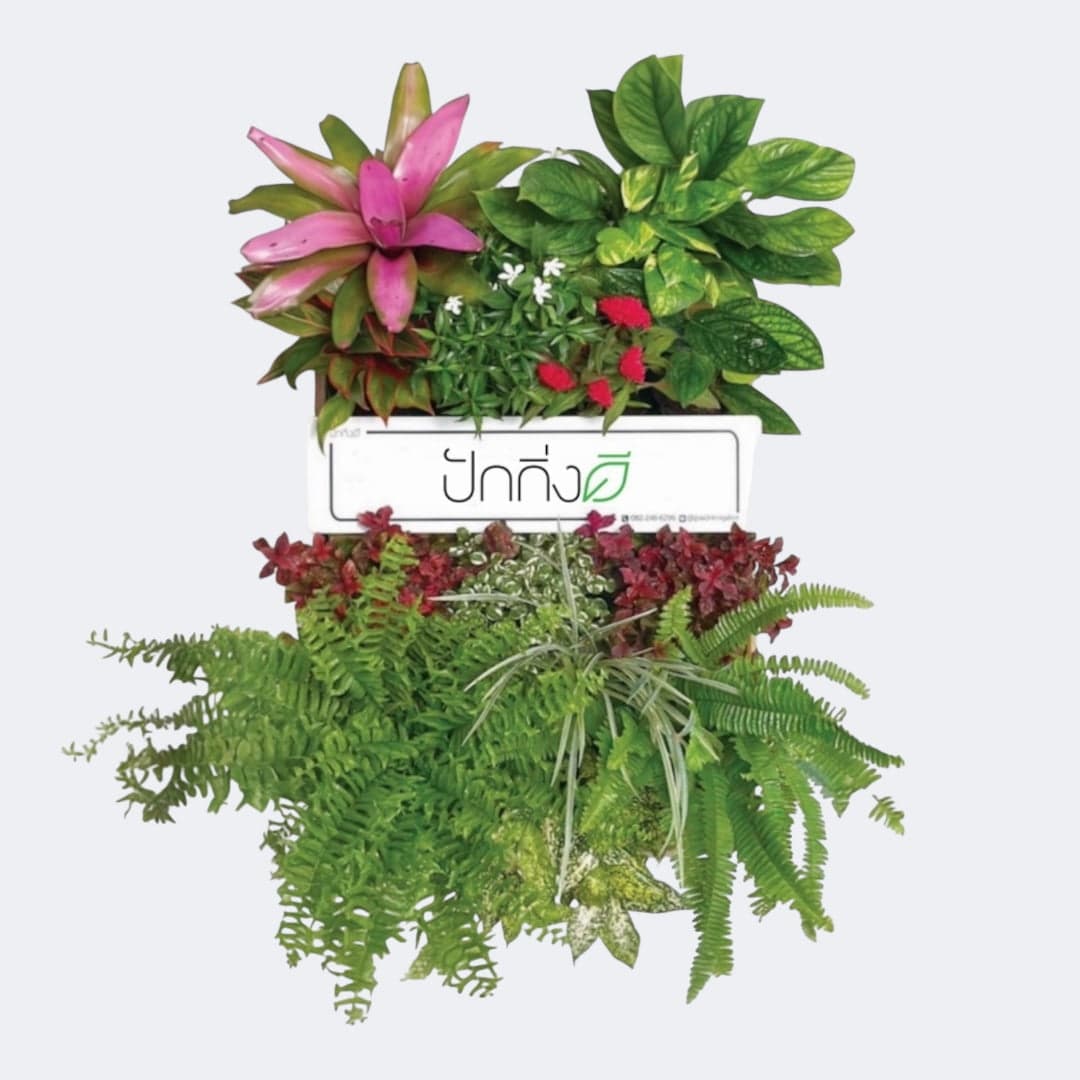 พวงหรีดต้นไม้ : Recycle.in.Peace Paper Box สีสัน