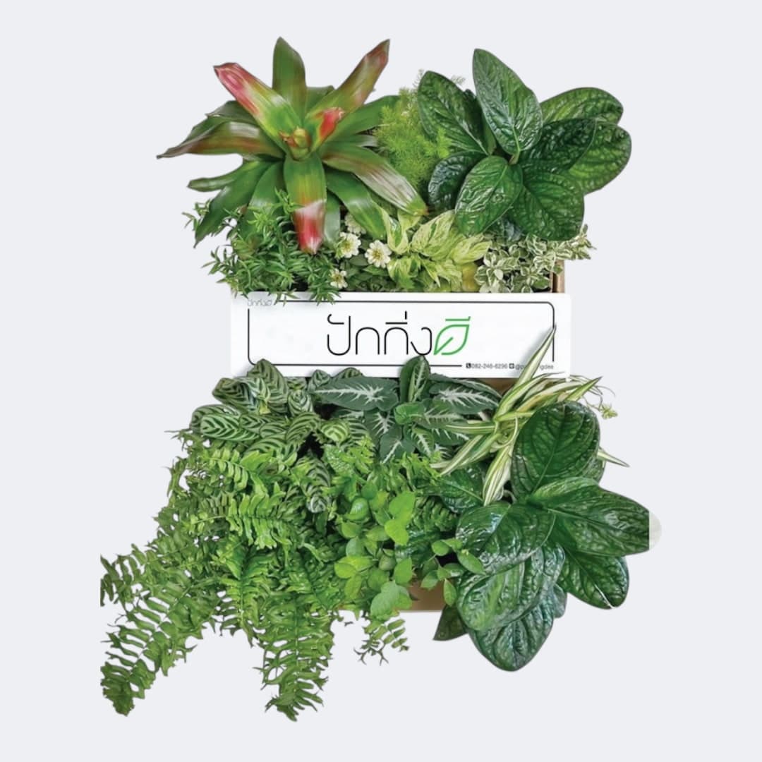 พวงหรีดต้นไม้ : Recycle.in.Peace Paper Box ขาวเขียว