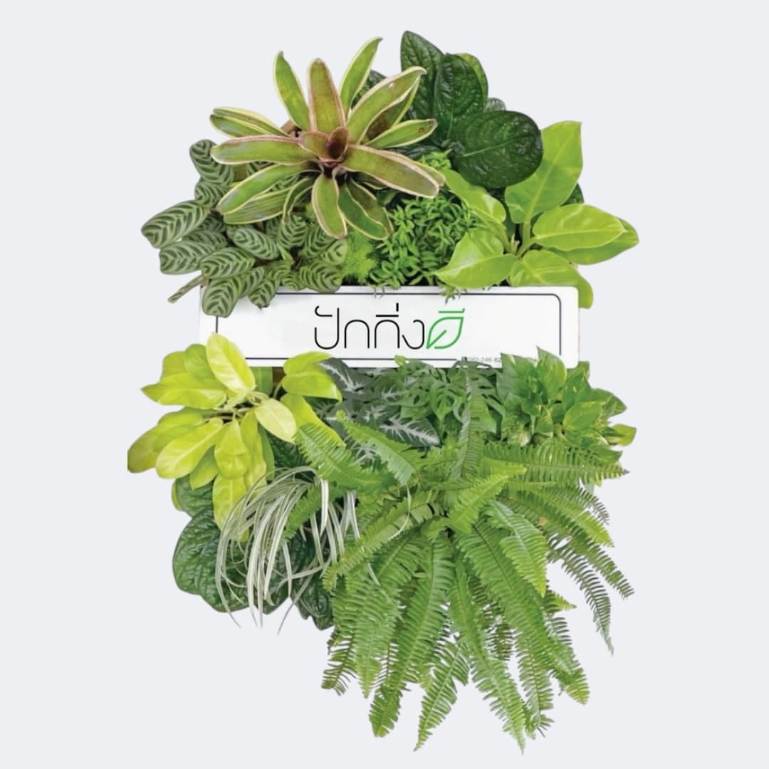 พวงหรีดต้นไม้ : Recycle.in.Peace Paper Box ขาวเขียว