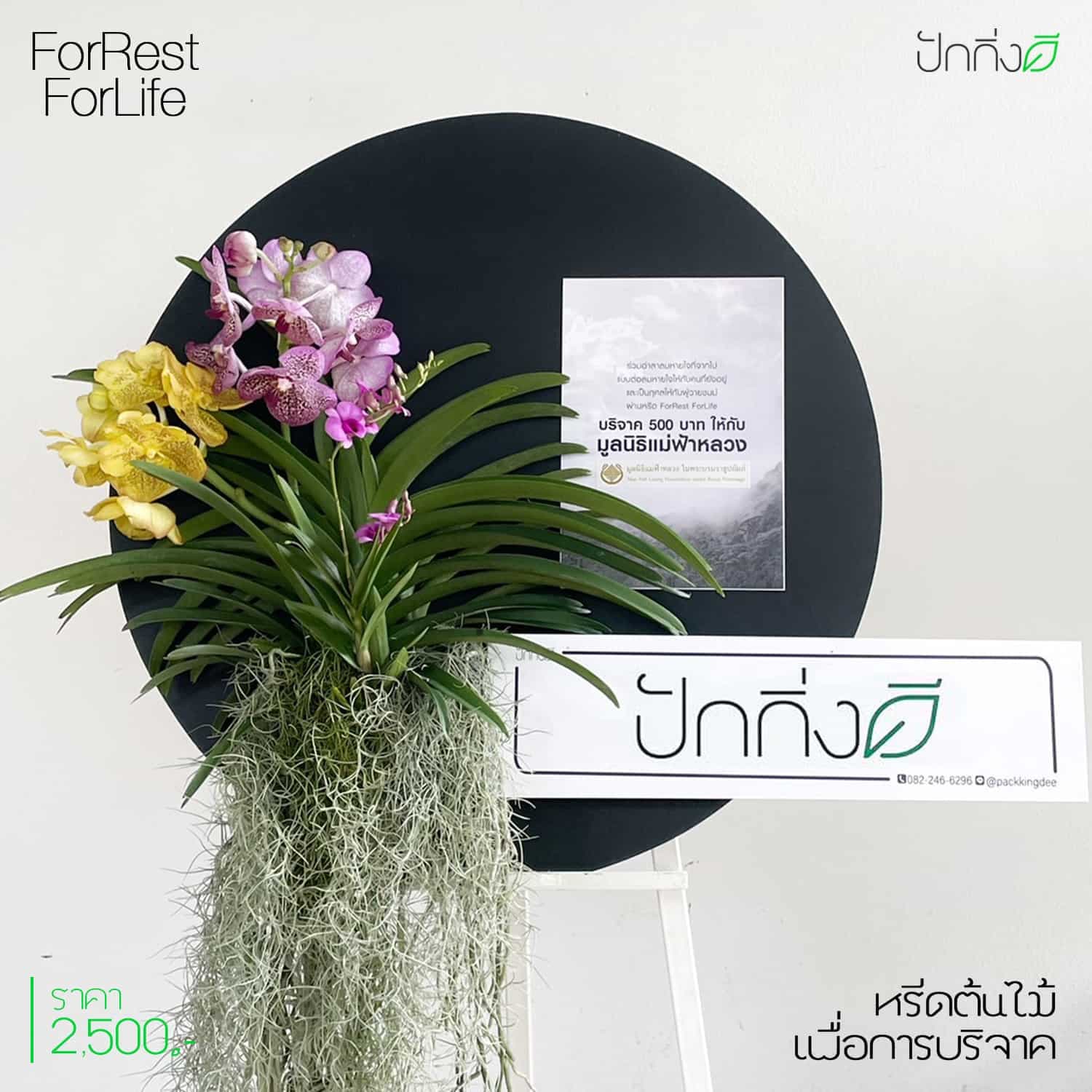 พวงหรีดต้นไม้เพื่อการบริจาค ForRest ForLife : รุ่น Orchid Garden กระดานสีดำ