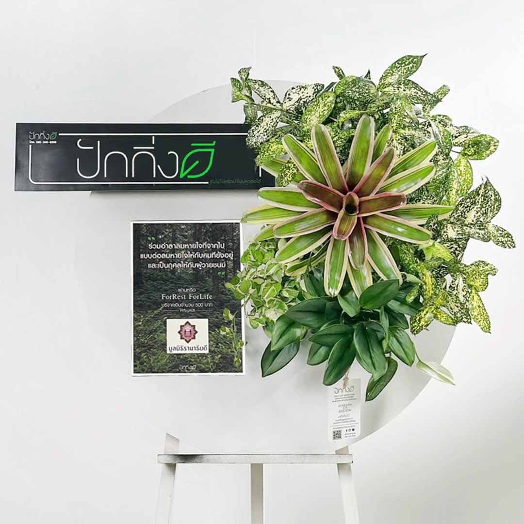 พวงหรีดต้นไม้เพื่อการบริจาค ForRest ForLife : รุ่นถนนธงชัย กระดานสีขาว