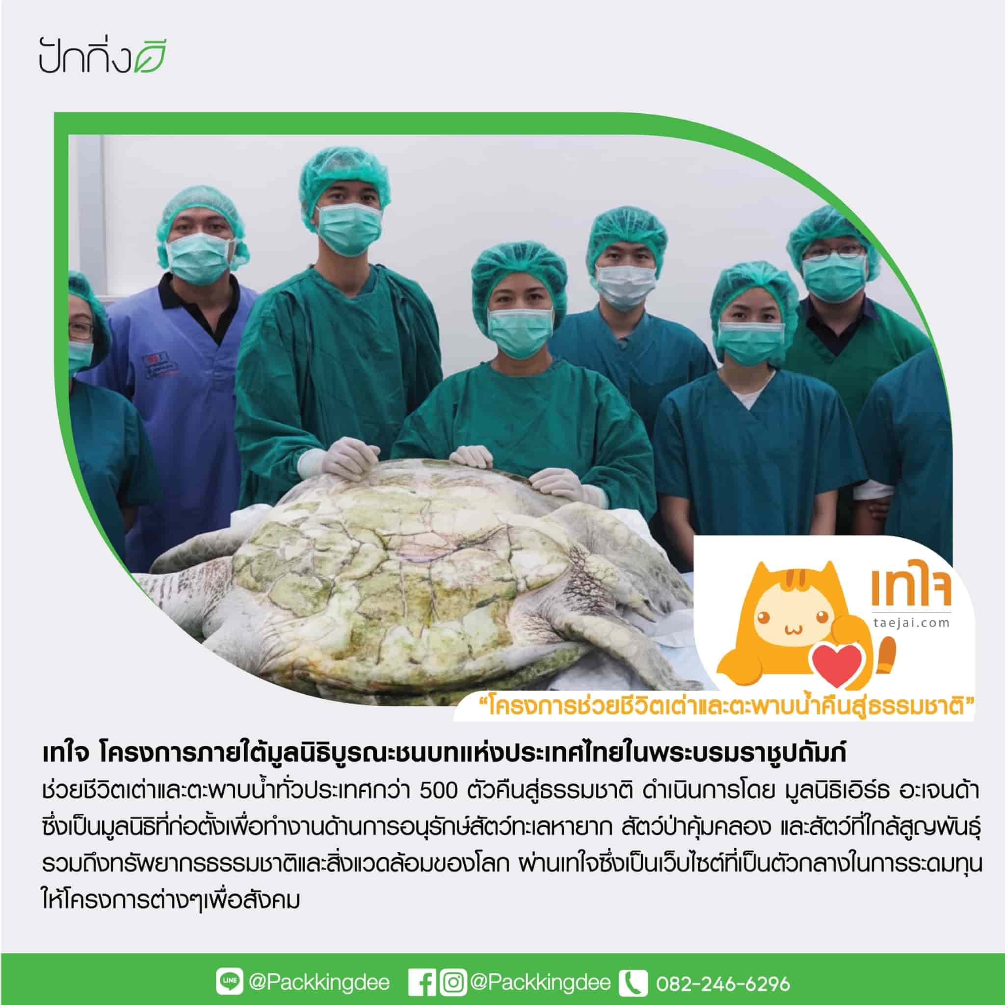 พวงหรีดต้นไม้เพื่อการบริจาค ForRest ForLife : รุ่นถนนธงชัย กระดานสีขาว