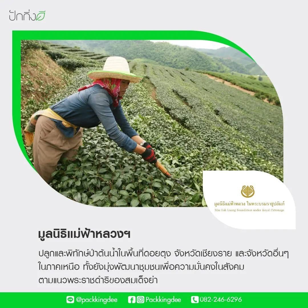 พวงหรีดต้นไม้เพื่อการบริจาค ForRest ForLife : รุ่นถนนธงชัย กระดานสีขาว