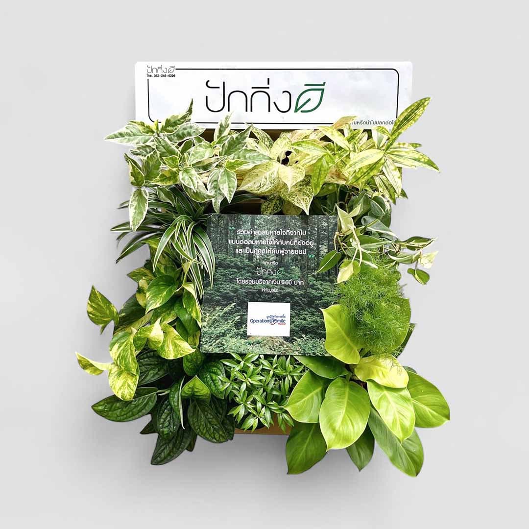 พวงหรีดต้นไม้เพื่อการบริจาค ForRest ForLife : Recycle.in.Peace Paper Box บริจาค 400 บาท แบบขาวเขียว