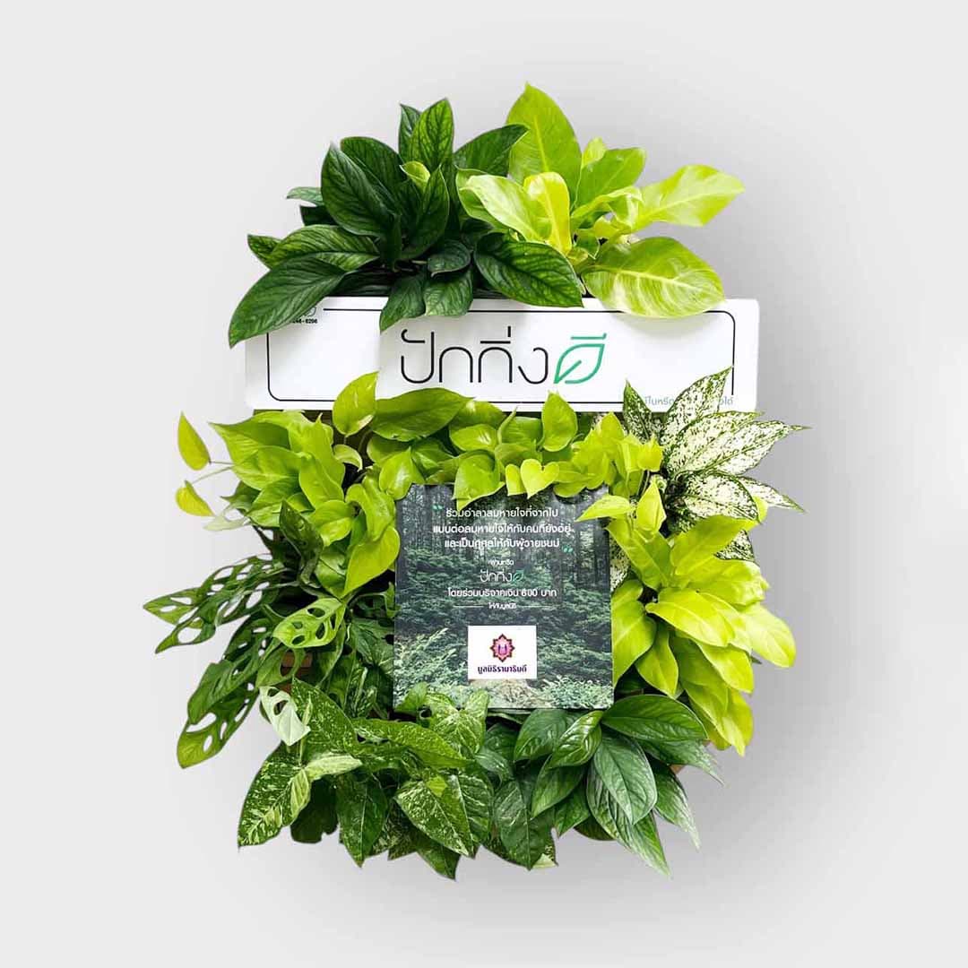 พวงหรีดต้นไม้เพื่อการบริจาค ForRest ForLife : Recycle.in.Peace Paper Box บริจาค 600 บาท แบบขาวเขียว