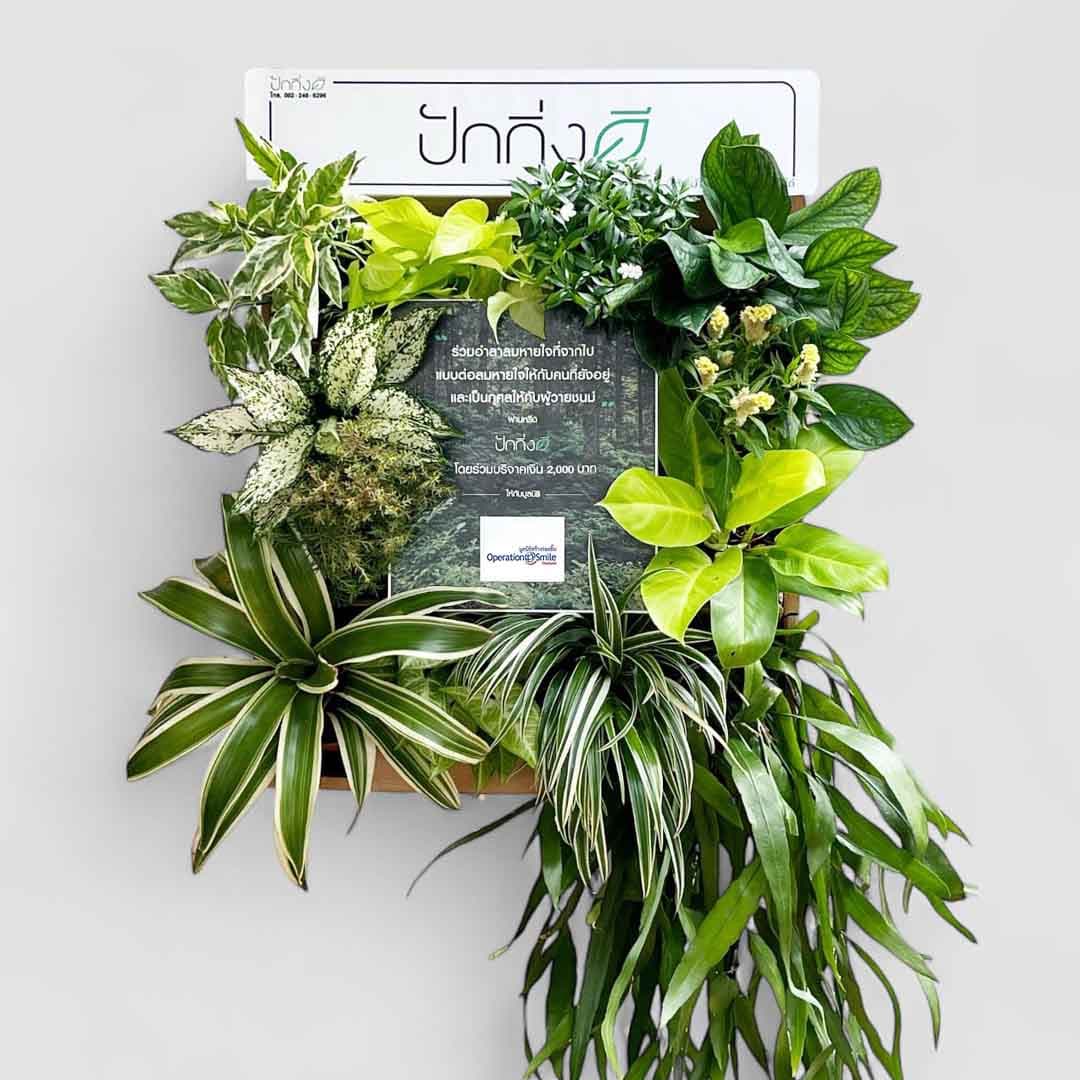 พวงหรีดต้นไม้เพื่อการบริจาค ForRest ForLife : Recycle.in.Peace Paper Box บริจาค 2,000 บาท แบบขาวเขียว