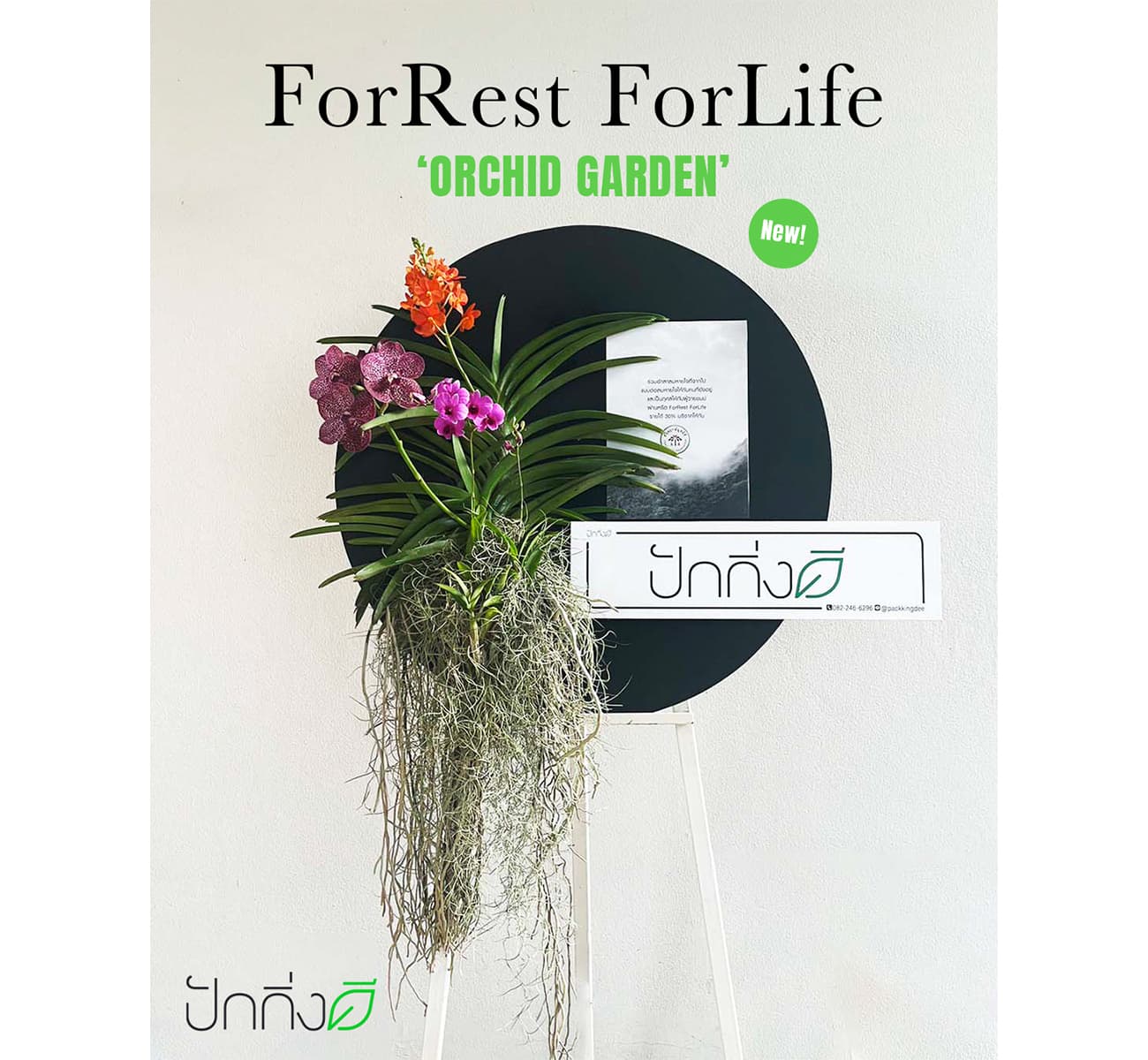 พวงหรีดต้นไม้เพื่อการบริจาค ForRest ForLife : รุ่น Orchid Garden