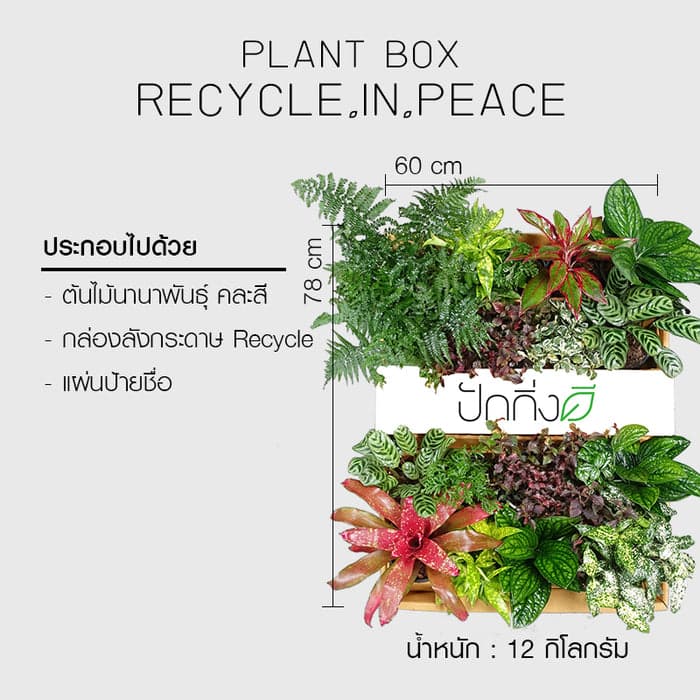พวงหรีดต้นไม้ : Recycle.in.Peace Paper Box